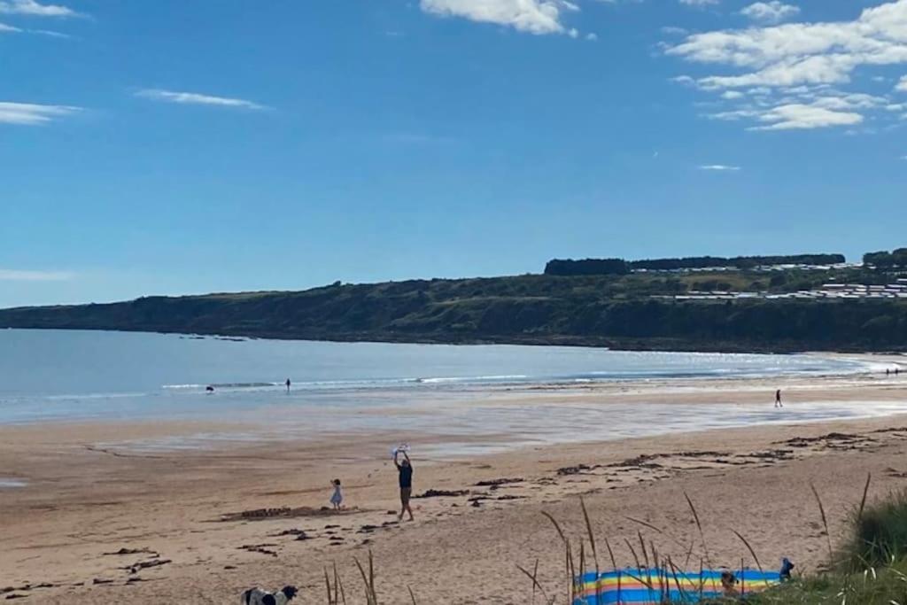 Lovely House & Garden, Short Walk To Town & Beach. St. Andrews Exterior photo
